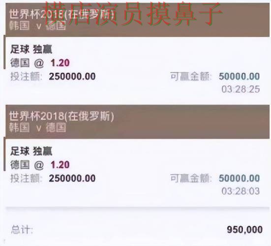 世界杯投注平台实测对比报告：直播入口与实际体验总结 - 世界杯官方信息
